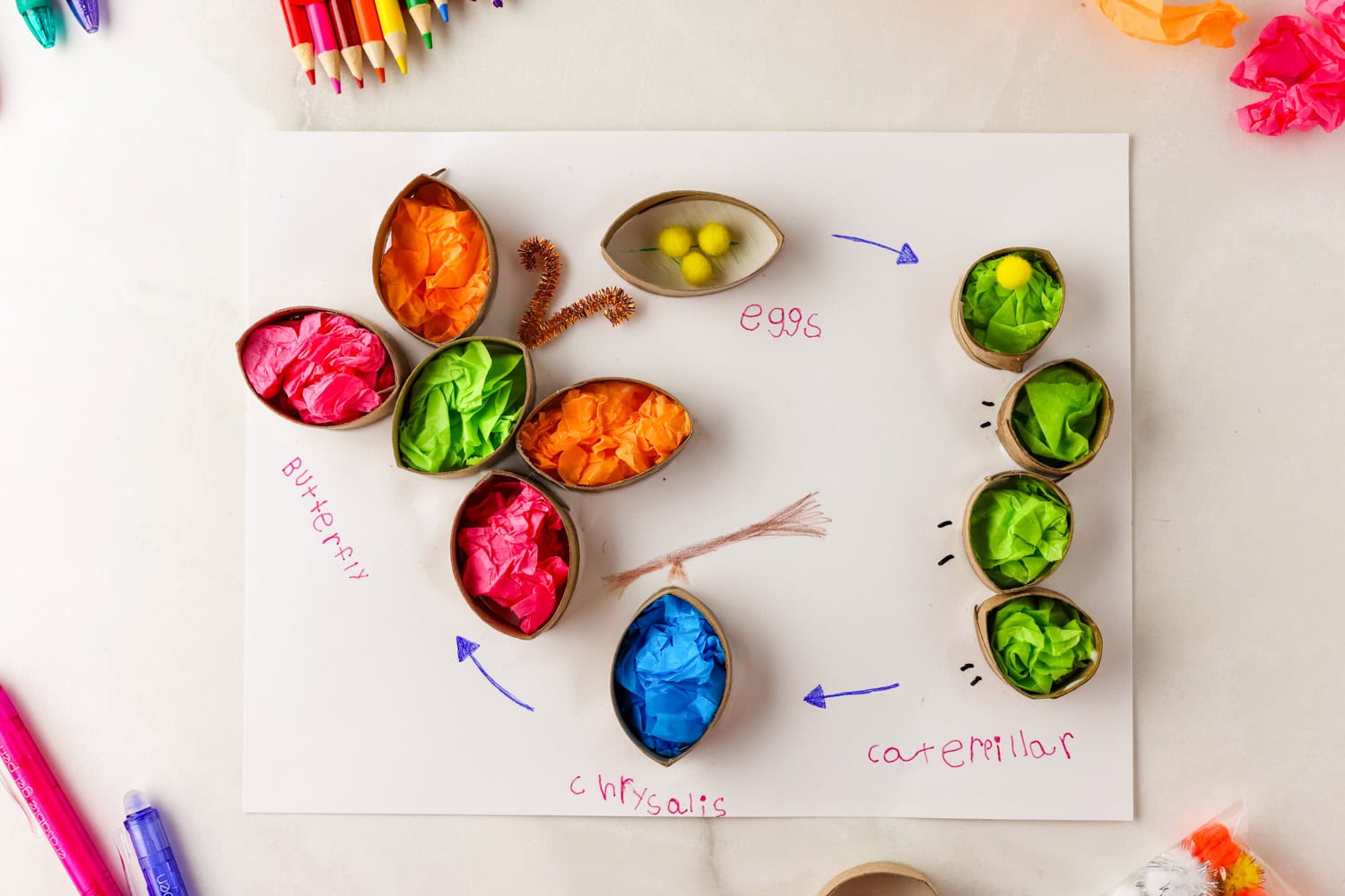 Butterfly Life Cycle Craft completed laying on counter