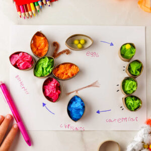Closeup square image of Butterfly Life Cycle Craft
