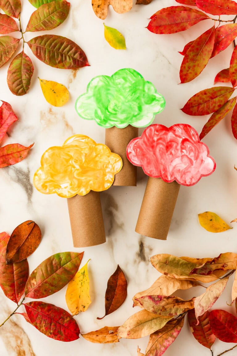 Finished Toilet Paper Roll Fall Tree Crafts arranged with varied colors surrounded with pressed fall leaves
