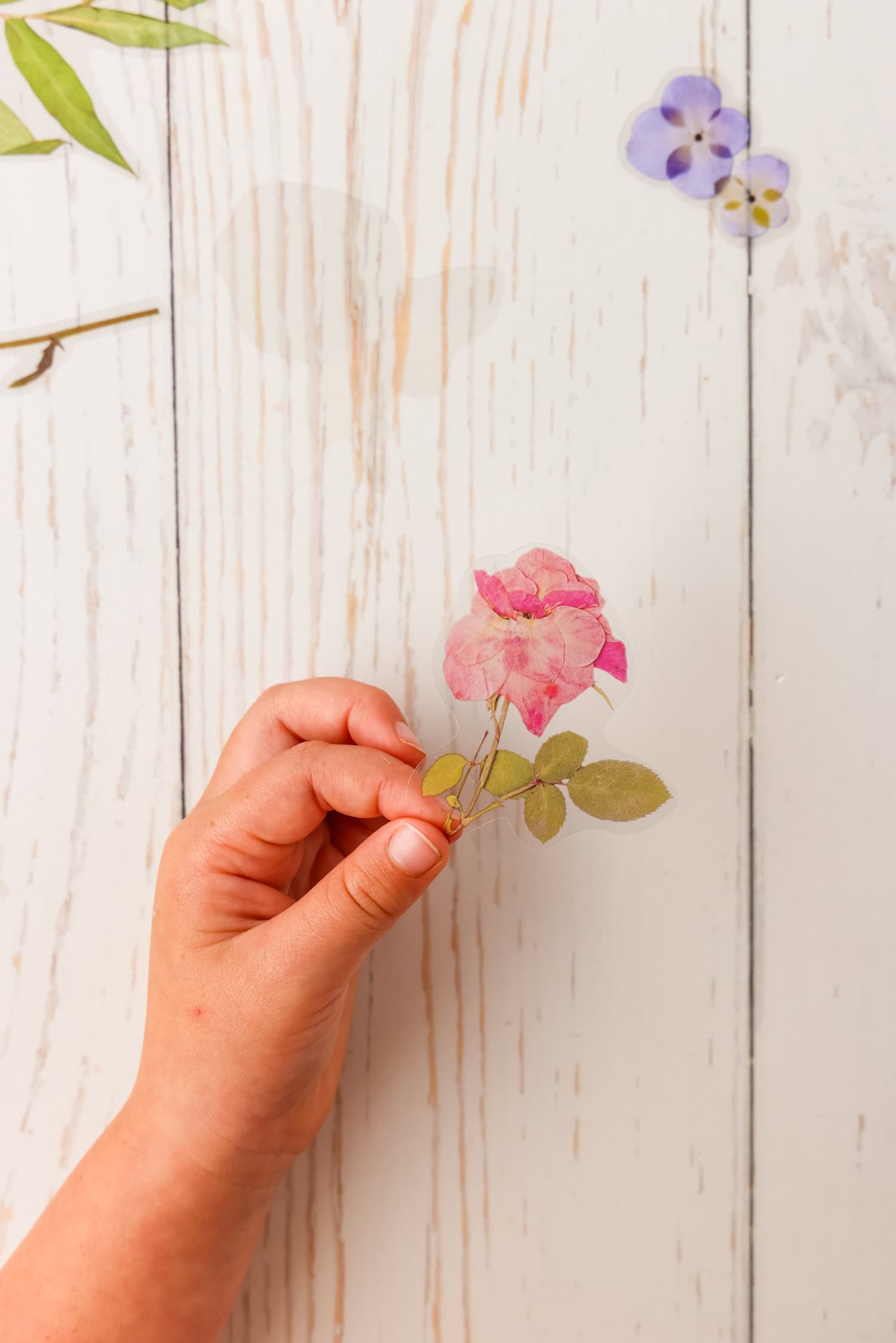 Holding a clear sticker to be added to the DIY Sticker Book
