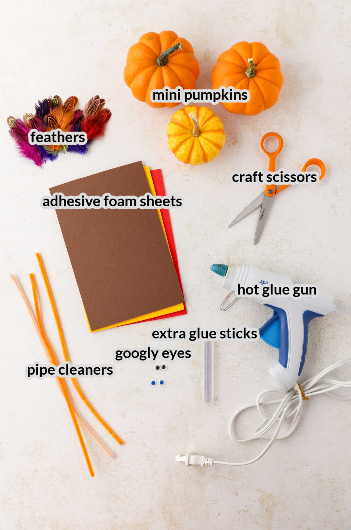 Overhead Image of Mini Pumpkin Turkey Craft Supplies