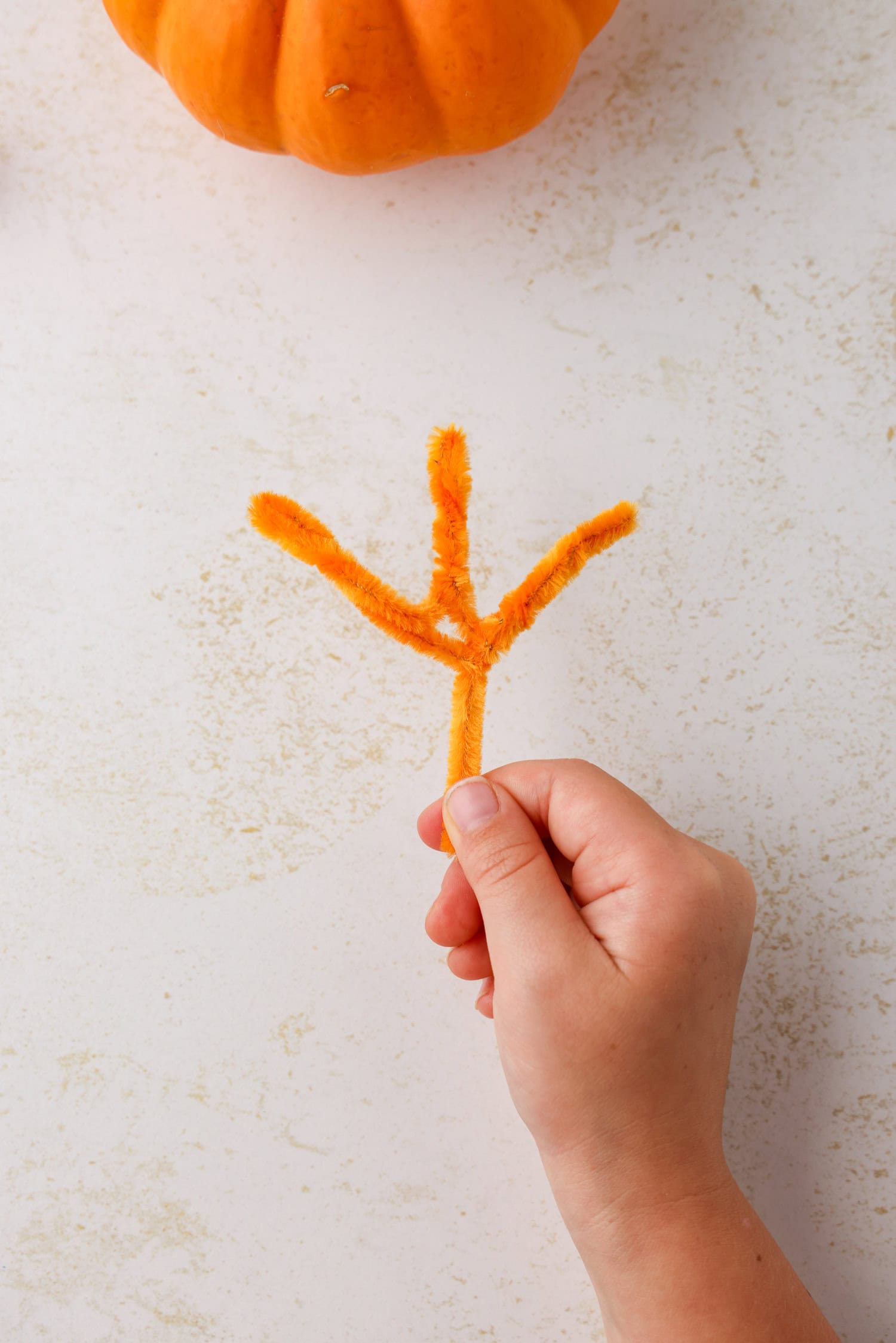Twisted pipe cleaners to form the foot for the Mini Pumpkin Turkey Craft