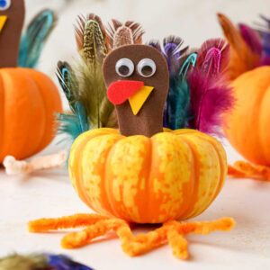 Closeup square image of Mini Pumpkin Turkey Craft