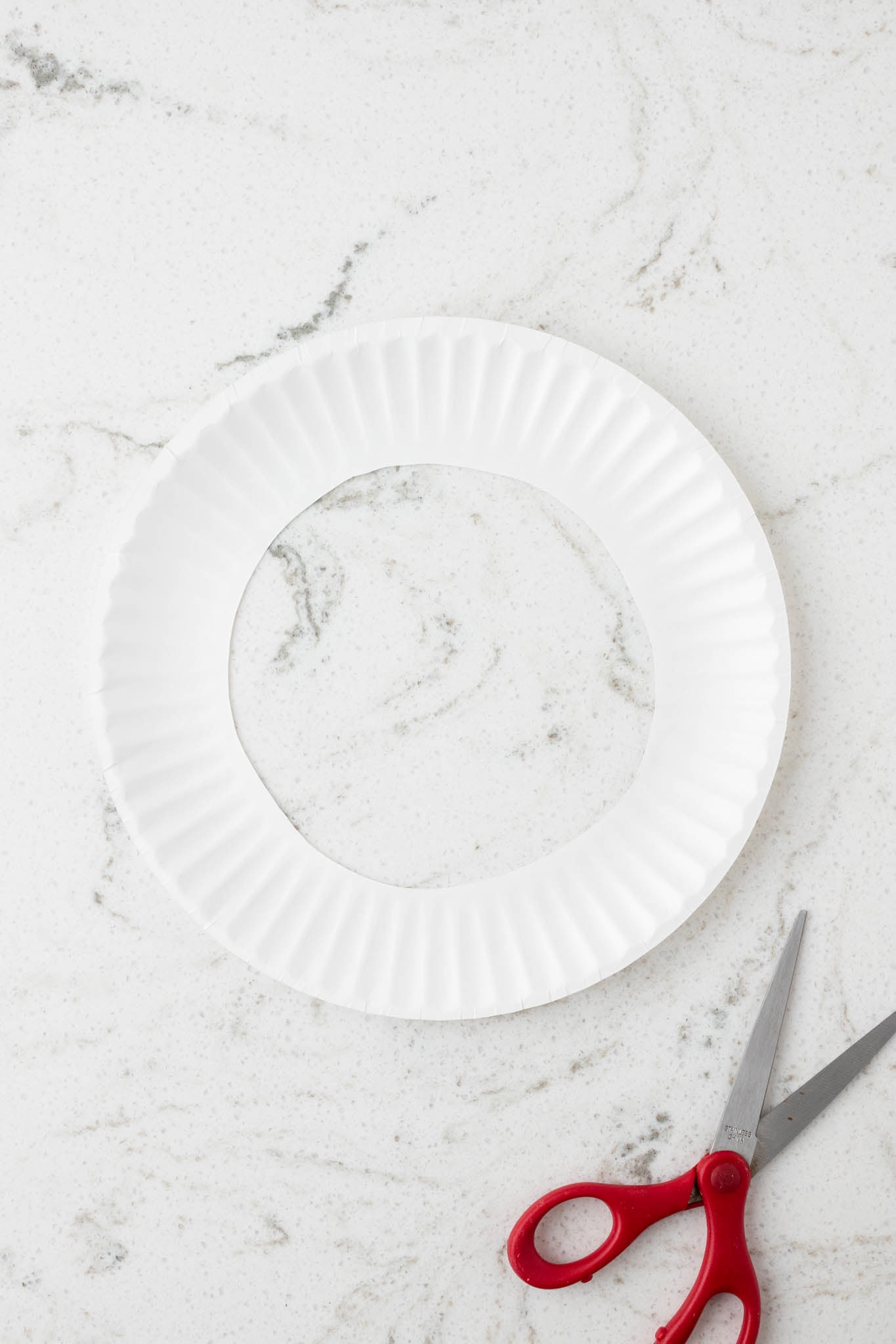 Overhead picture of a paper plate with a circle cut out of the center of it.