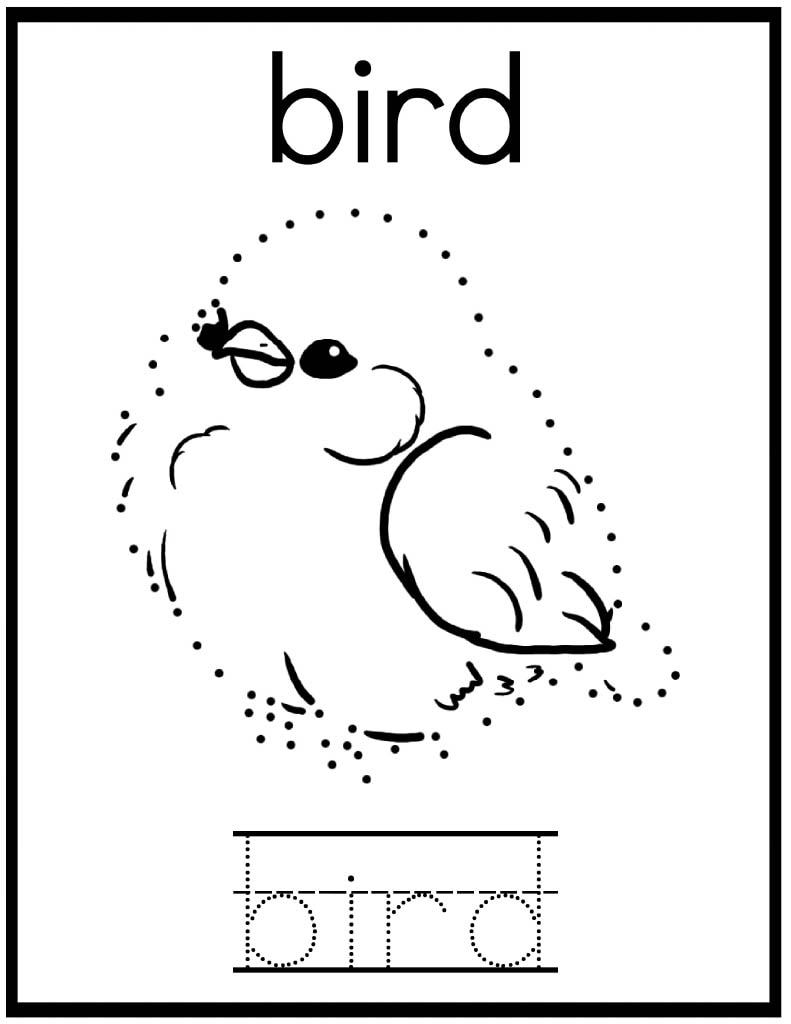 Bird dot to dot worksheet
