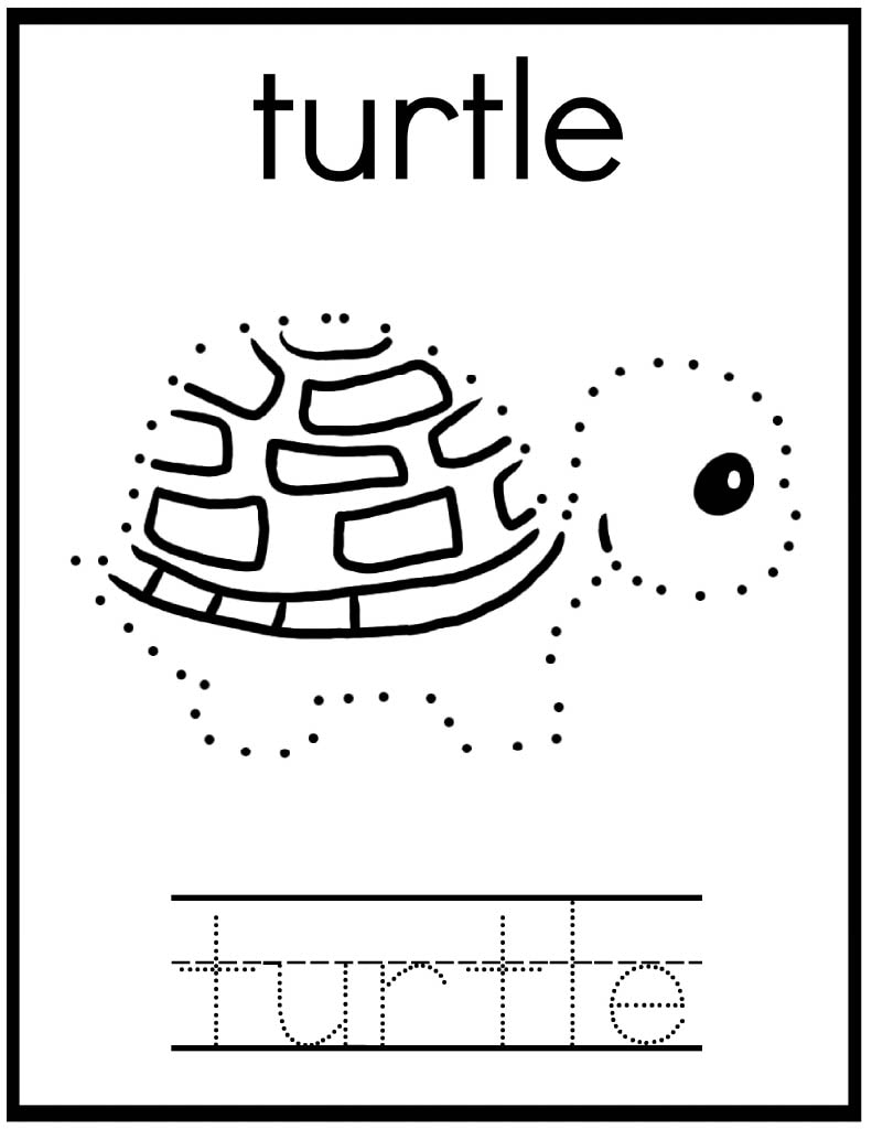 Turtle dot to dot worksheet