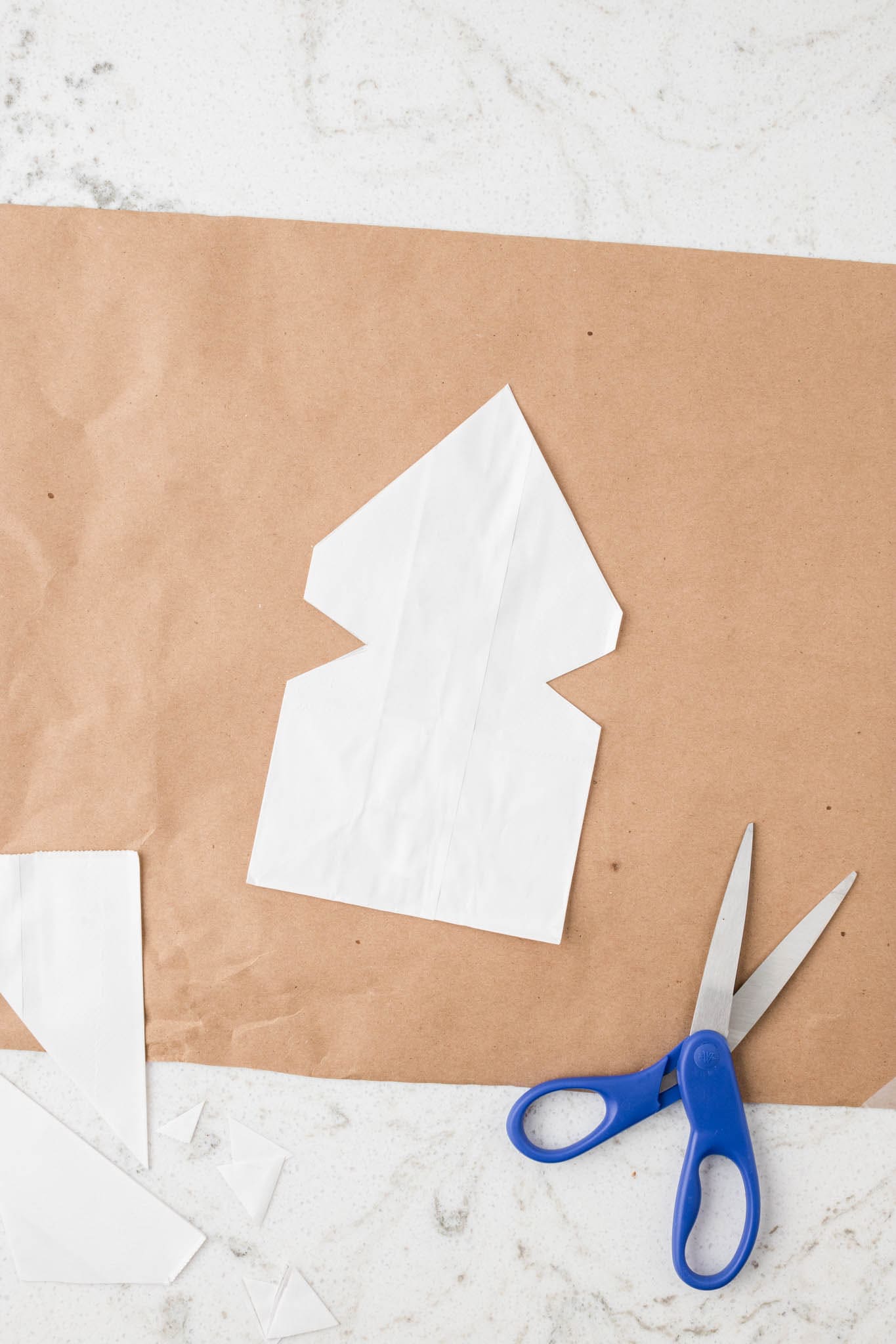 Overhead picture of cut paper bag and scissors.