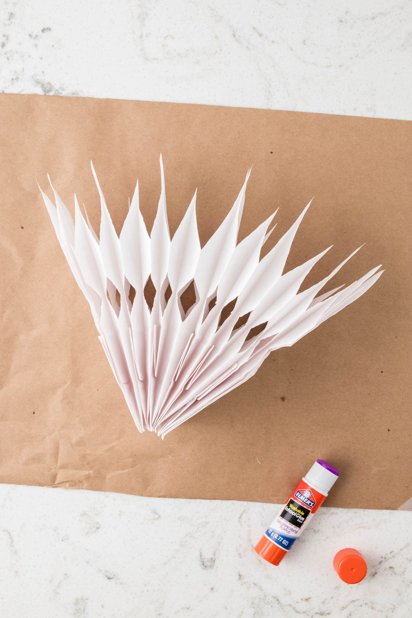 Overhead picture of paper bag partially fanned out