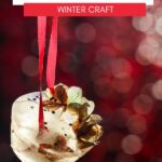 Ice Suncatcher KAZ Pin Image