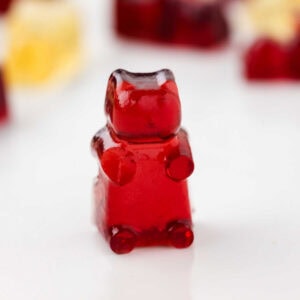 Homemade Gummy Bears Square Image