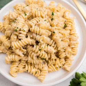 Cream Cheese Pasta Square Image KAZ