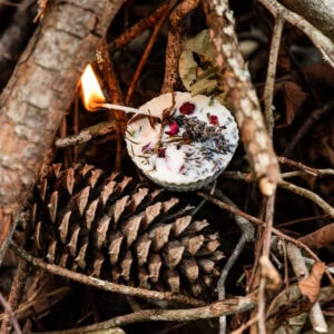 Campfire Starters Square Image