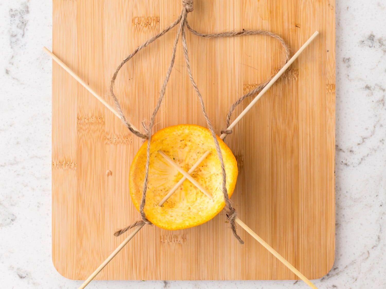 Twine tied at the top to form a hanging loop for the feeder.