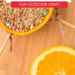 Orange Bird Feeder KAZ Pin Image