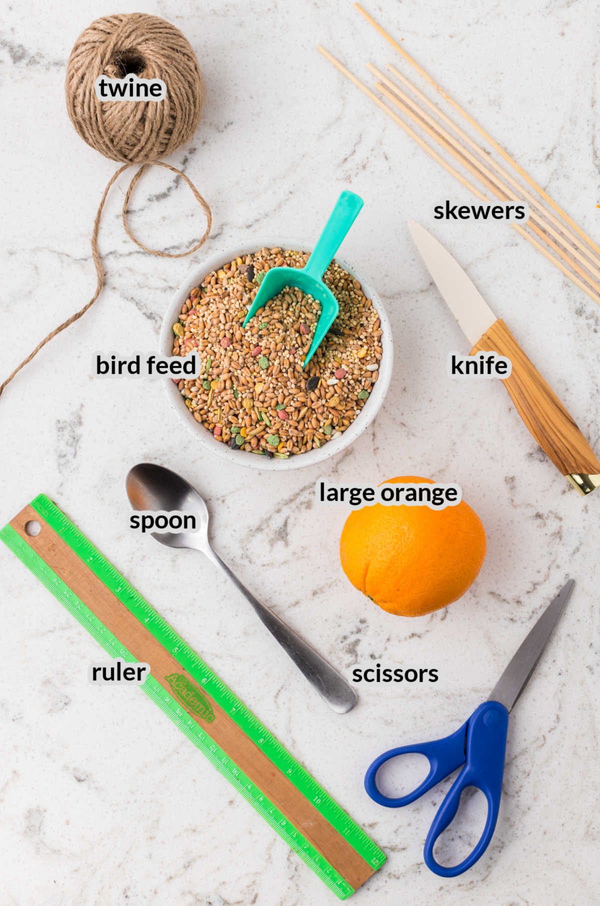 Orange Bird Feeder Supply Image