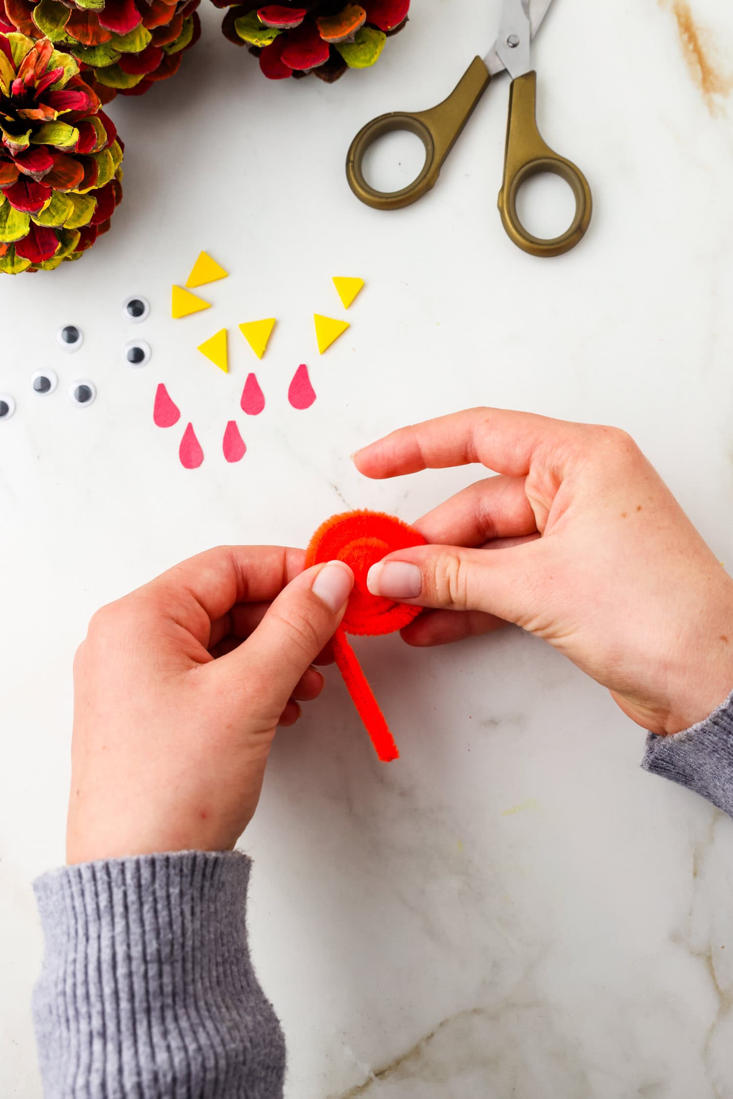 Picture of pipecleaner being rolled up into a circle.