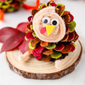 Pinecone Turkey Craft Square Image