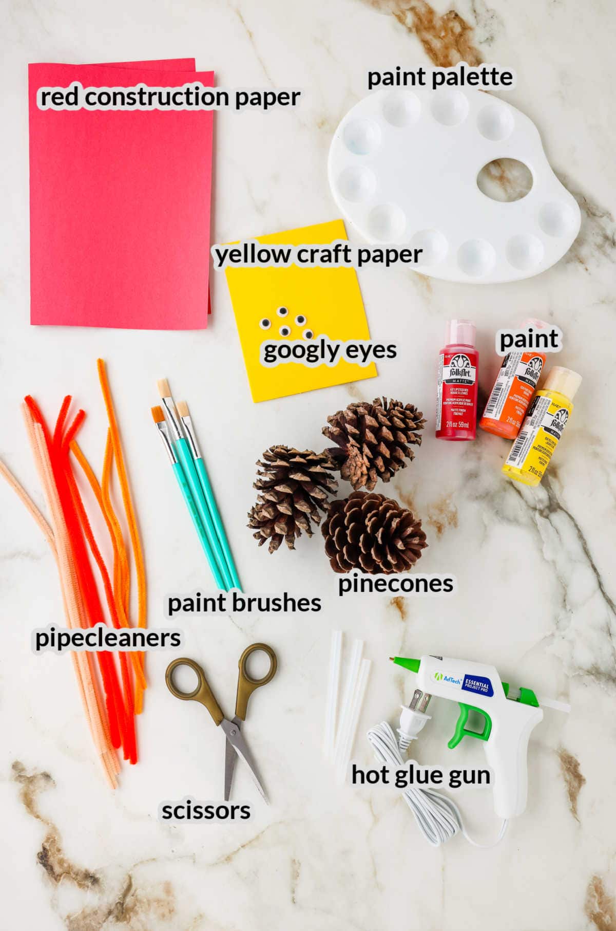 Turkey Pinecone Supply Image