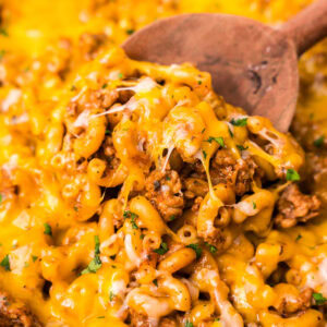 Beefaroni Square Image KAZ