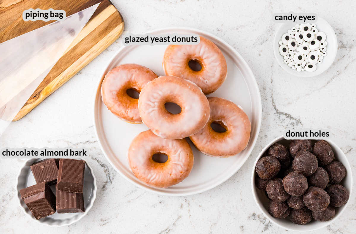 Spider Donuts Supply Image
